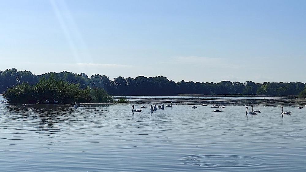 Ferienwohnung Am Olbasee Malschwitz Dış mekan fotoğraf